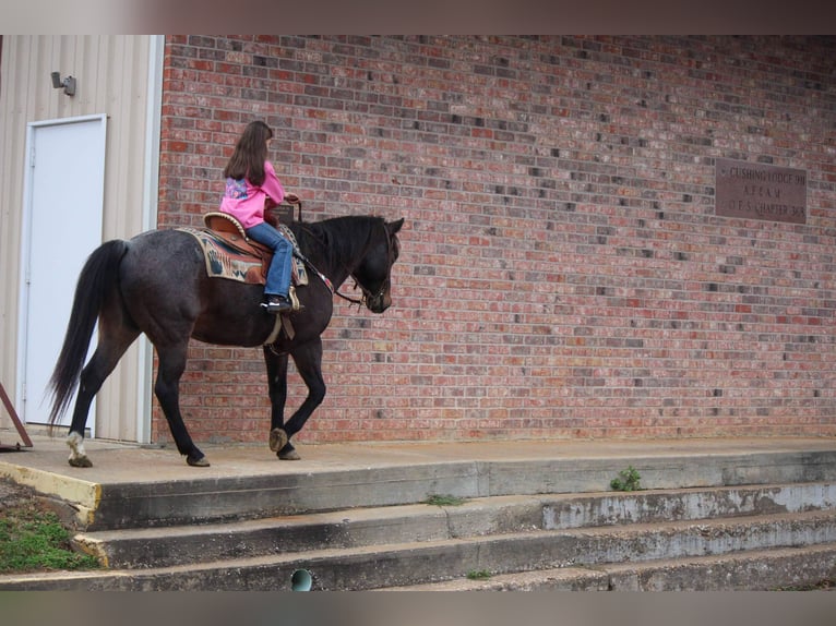 American Quarter Horse Castrone 14 Anni 150 cm Baio roano in Rusk TX