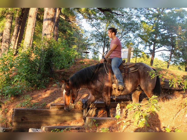 American Quarter Horse Castrone 14 Anni 152 cm Baio roano in Rusk TX