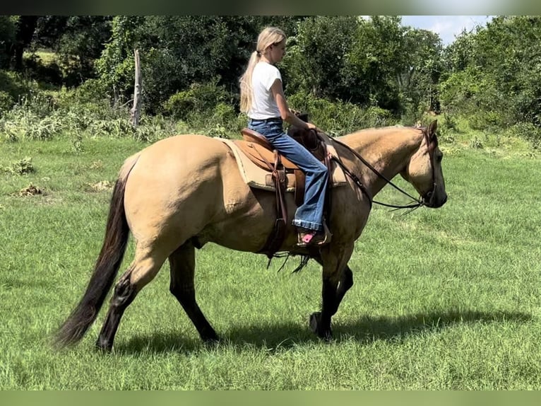 American Quarter Horse Castrone 14 Anni 152 cm Pelle di daino in Weatherford TX