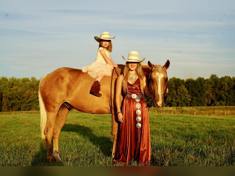 American Quarter Horse Mix Castrone 14 Anni Palomino in Valley Springs, SD