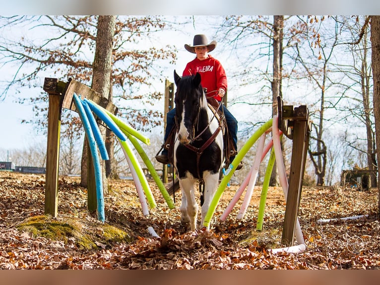 American Quarter Horse Castrone 14 Anni Tobiano-tutti i colori in Mountain Grove, MO