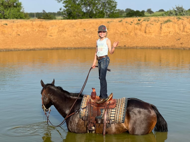 American Quarter Horse Castrone 15 Anni 160 cm Baio ciliegia in Joshua TX