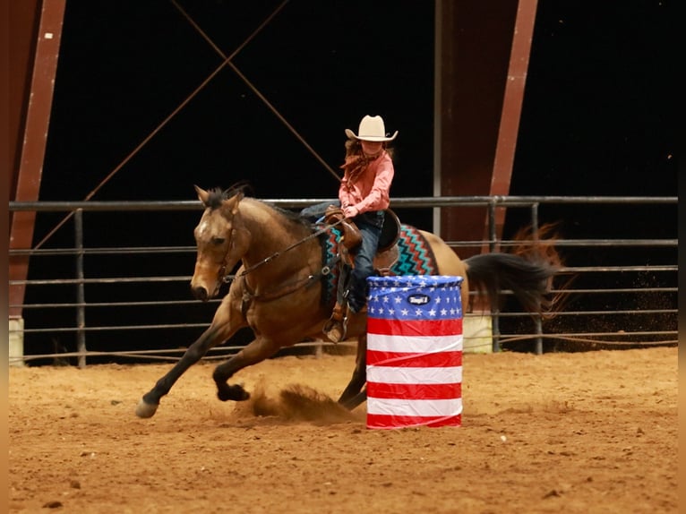 American Quarter Horse Castrone 15 Anni 160 cm Pelle di daino in Quitman