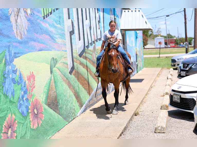 American Quarter Horse Castrone 15 Anni Baio ciliegia in Terrell
