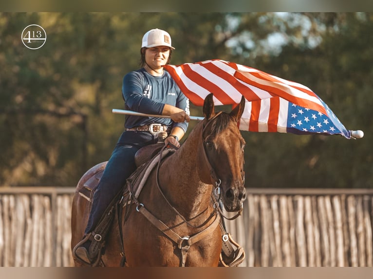 American Quarter Horse Castrone 15 Anni Baio roano in Weatherford TX