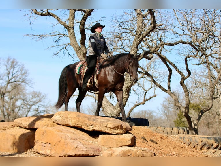 American Quarter Horse Castrone 15 Anni Morello in Athens KY