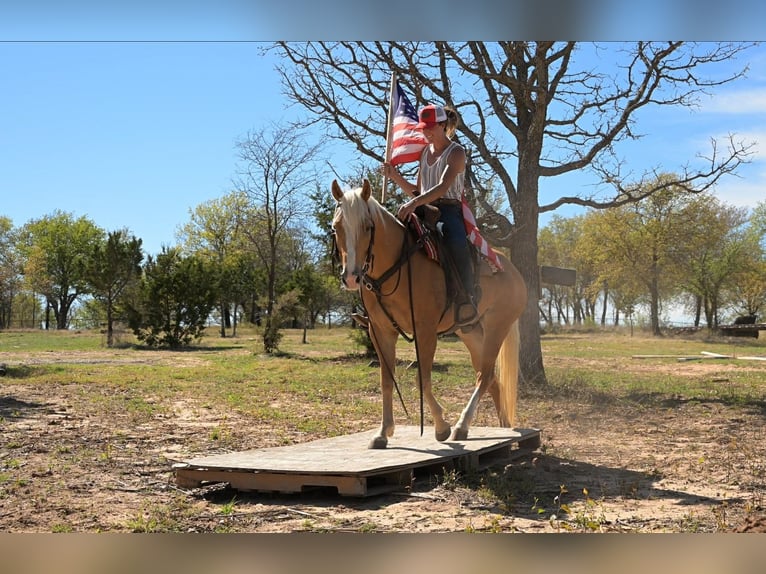 American Quarter Horse Castrone 4 Anni 142 cm Palomino in Stephenville