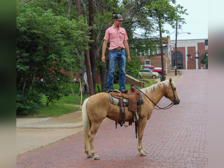 American Quarter Horse Castrone 4 Anni 145 cm Palomino in Lufkin