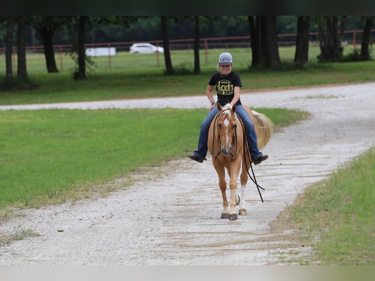 American Quarter Horse Castrone 4 Anni 147 cm Palomino in Pilot Point