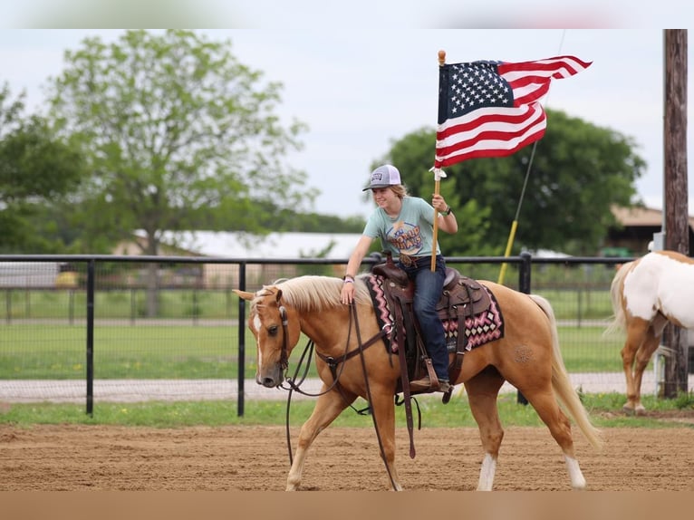 American Quarter Horse Castrone 4 Anni 147 cm Palomino in Pilot Point