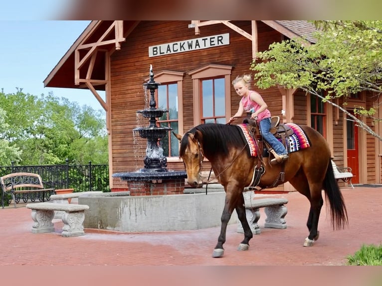 American Quarter Horse Castrone 4 Anni 150 cm Pelle di daino in Sedalia, MO
