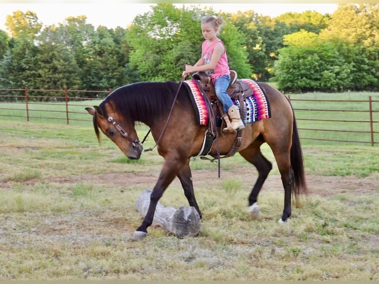 American Quarter Horse Castrone 4 Anni 150 cm Pelle di daino in Sedalia, MO