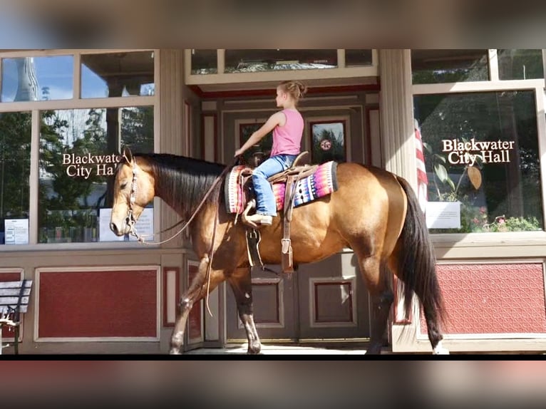 American Quarter Horse Castrone 4 Anni 150 cm Pelle di daino in Sedalia, MO