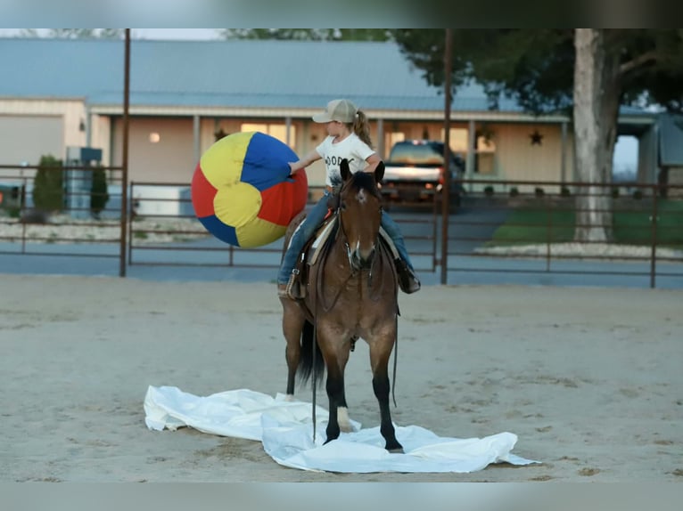 American Quarter Horse Castrone 4 Anni 150 cm Roano rosso in Mount Vernon