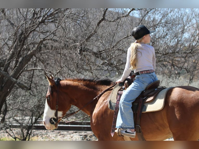 American Quarter Horse Castrone 5 Anni 145 cm Falbo in Weatherford TX