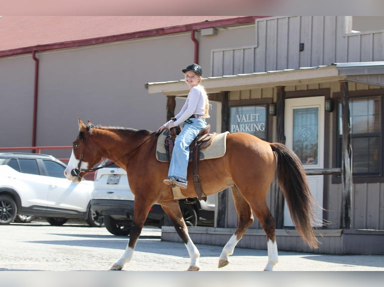 American Quarter Horse Castrone 5 Anni 145 cm Falbo in Weatherford TX