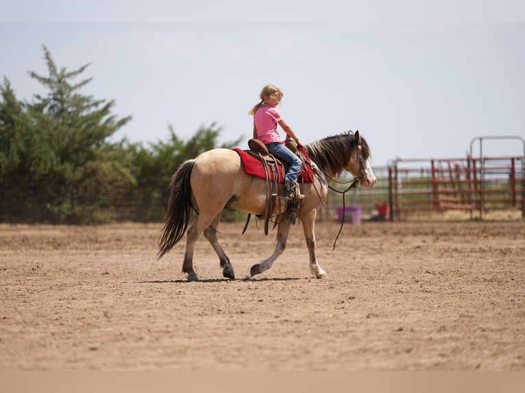 American Quarter Horse Castrone 6 Anni 132 cm Pelle di daino in Canyon TX