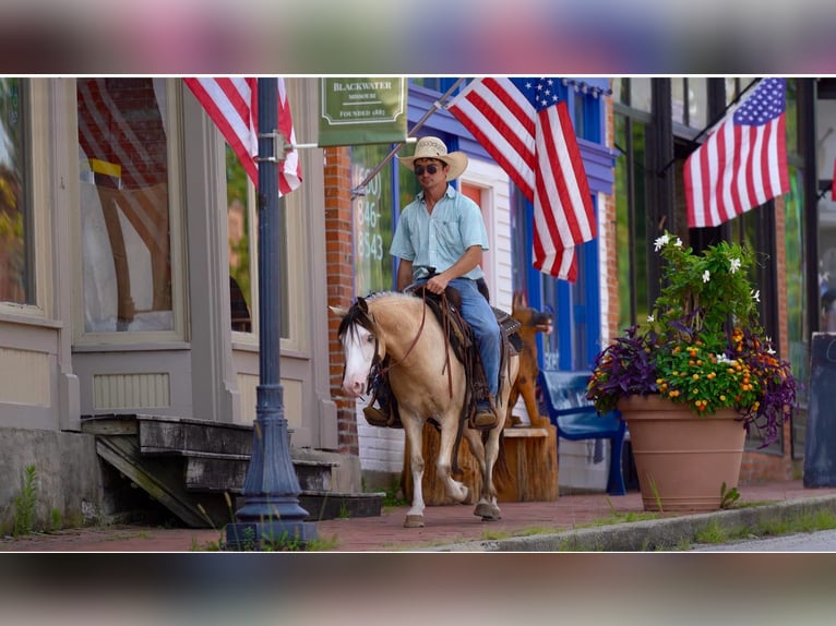 American Quarter Horse Castrone 6 Anni 132 cm Pelle di daino in Canyon TX