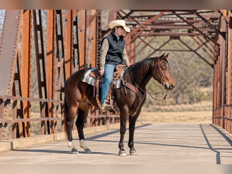 American Quarter Horse Castrone 6 Anni 152 cm Baio ciliegia in Decorah