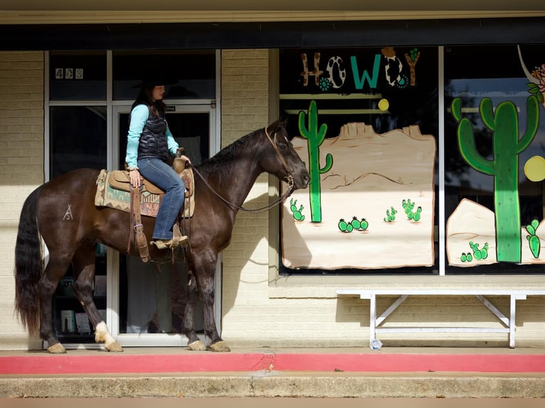 American Quarter Horse Castrone 6 Anni 155 cm Morello in Rusk, TX