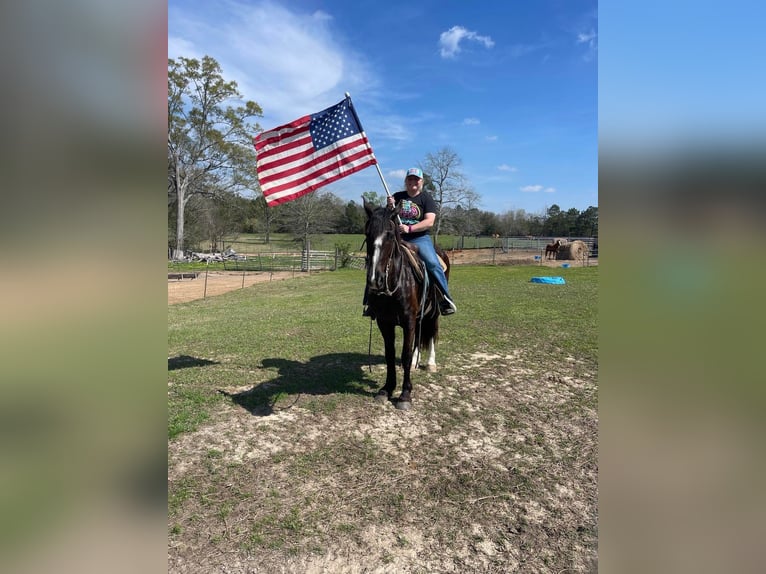 American Quarter Horse Castrone 6 Anni 168 cm Grigio rossastro in Highland MI