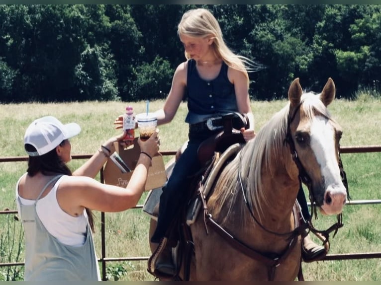 American Quarter Horse Castrone 6 Anni Palomino in Weatherford, TX