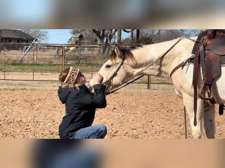 American Quarter Horse Castrone 7 Anni 147 cm Tobiano-tutti i colori in Weatherford TX