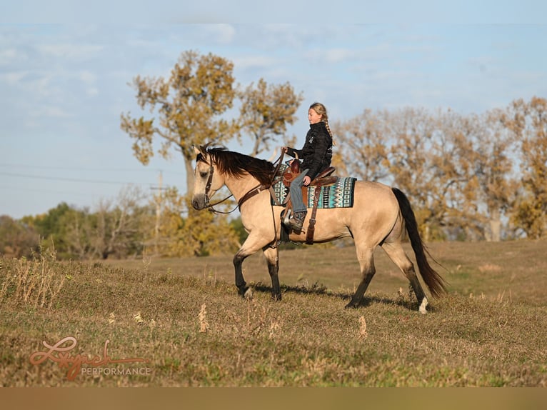 American Quarter Horse Castrone 7 Anni 152 cm Pelle di daino in Canistota, SD