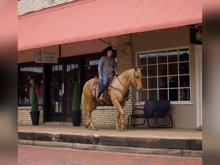 American Quarter Horse Castrone 7 Anni 157 cm Palomino in Rusk TX