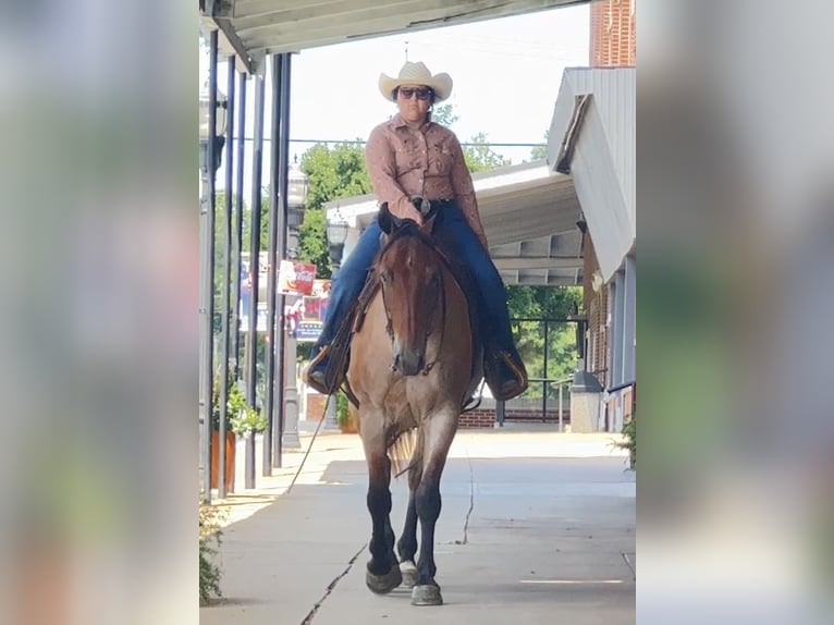 American Quarter Horse Castrone 7 Anni 163 cm Baio roano in Henderson