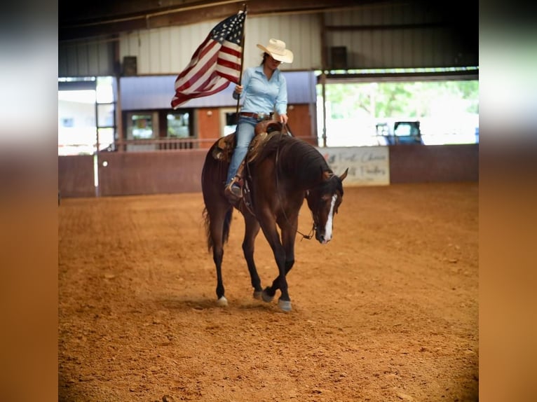 American Quarter Horse Castrone 7 Anni 165 cm Baio ciliegia in Grand Saline