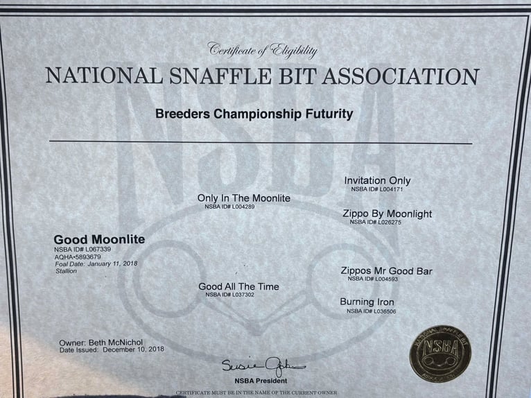 American Quarter Horse Castrone 8 Anni 152 cm Baio ciliegia in Canton TX