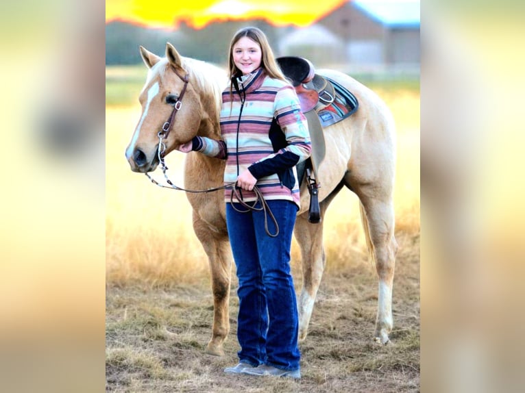 American Quarter Horse Castrone 8 Anni 157 cm Palomino in Saint Joe