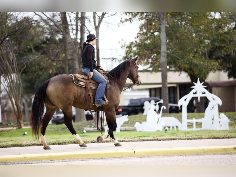 American Quarter Horse Castrone 8 Anni 157 cm Pelle di daino in RUsk TX