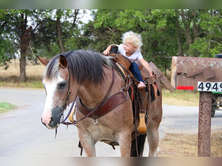 American Quarter Horse Castrone 9 Anni 142 cm Baio roano in Cleburne TX