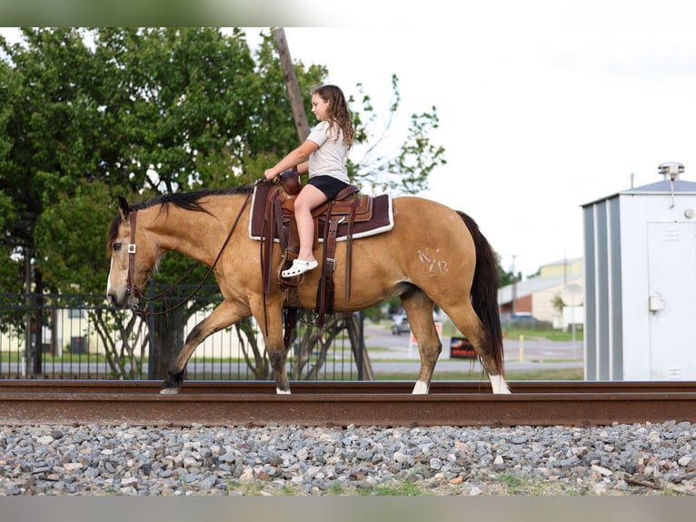 American Quarter Horse Mix Castrone 9 Anni 142 cm Pelle di daino in Terrell