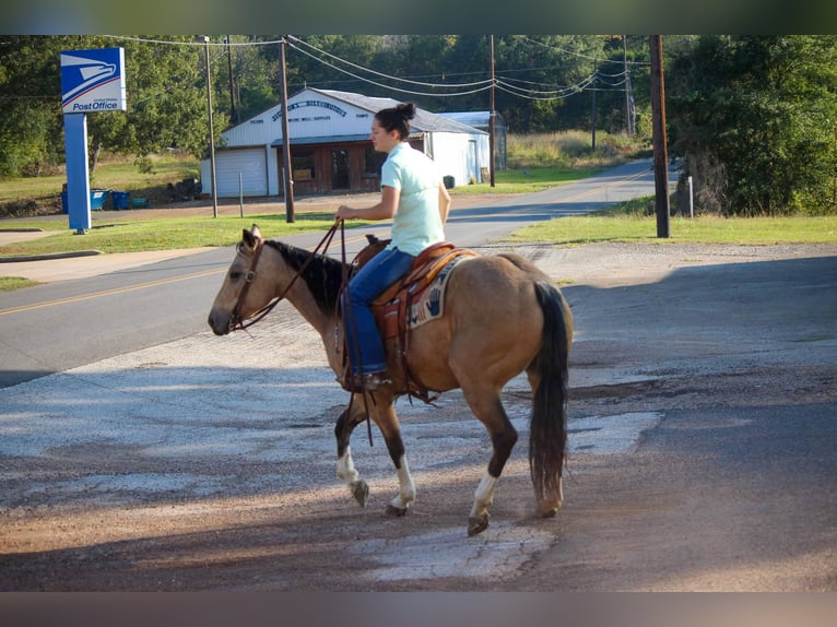 American Quarter Horse Castrone 9 Anni 150 cm Pelle di daino in Rusk TX