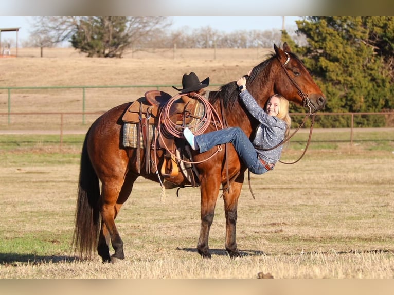 American Quarter Horse Castrone 9 Anni 152 cm Baio roano in Joshua, TX