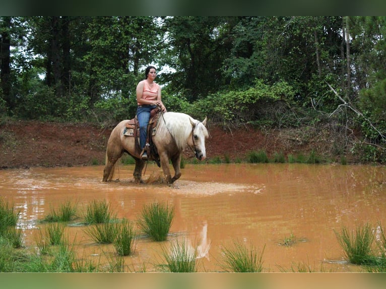 American Quarter Horse Castrone 9 Anni 155 cm Palomino in RUsk TX