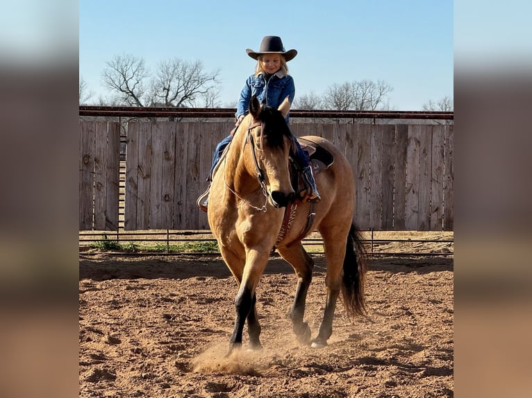 American Quarter Horse Castrone 9 Anni 155 cm Pelle di daino in Weatherford