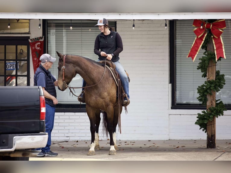 American Quarter Horse Castrone 9 Anni 157 cm Pelle di daino in RUsk TX