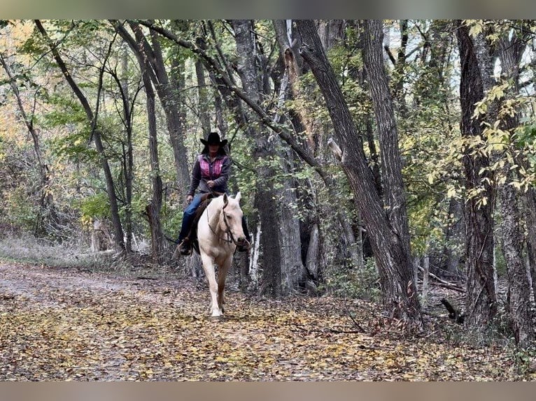 American Quarter Horse Castrone 9 Anni 163 cm Palomino in Wetherford TX