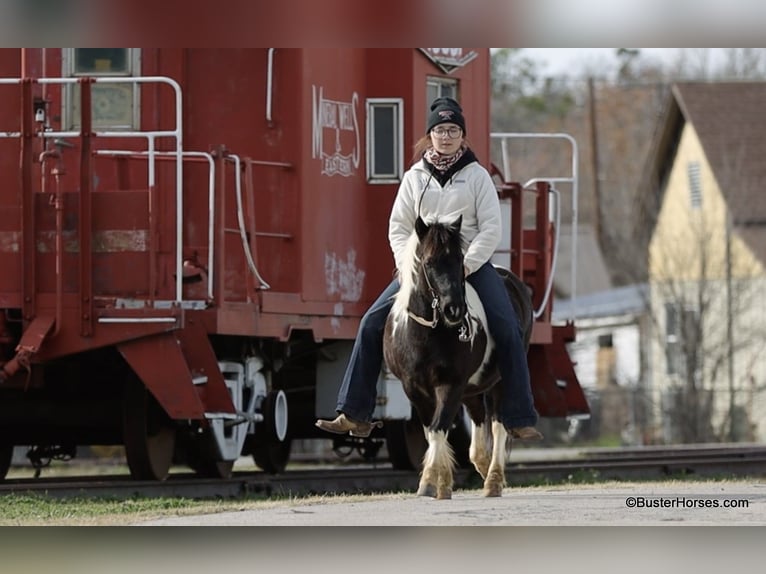 American Quarter Horse Gelding 10 years 11 hh Tobiano-all-colors in Weatherford TX