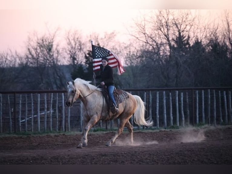 American Quarter Horse Gelding 10 years 15.1 hh Palomino in Ripley