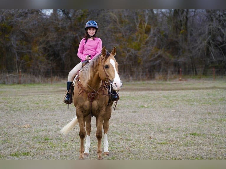 American Quarter Horse Gelding 10 years 15,2 hh Palomino in Weatherford, TX