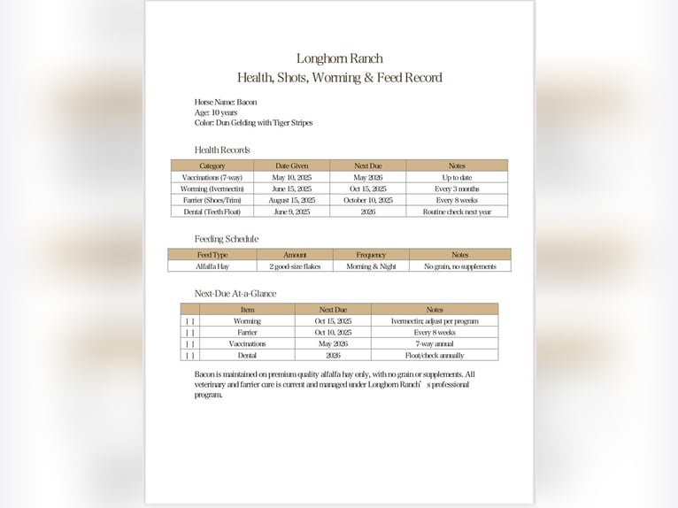 American Quarter Horse Gelding 11 years 14.3 hh Dun in Paicines CA