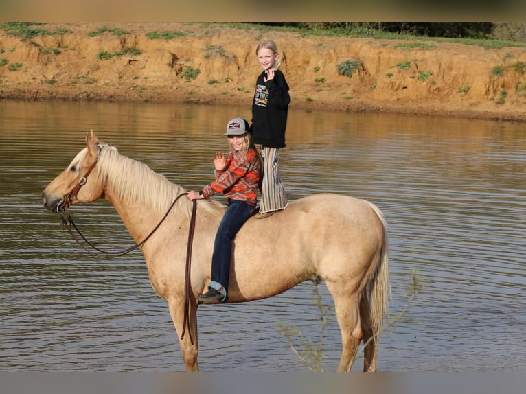 American Quarter Horse Gelding 11 years 16 hh Palomino in Joshua, TX