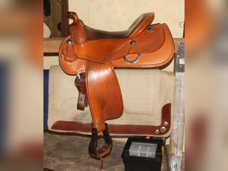 American Quarter Horse Gelding 12 years 15 hh Dun in Herschweiler-Pettersheim