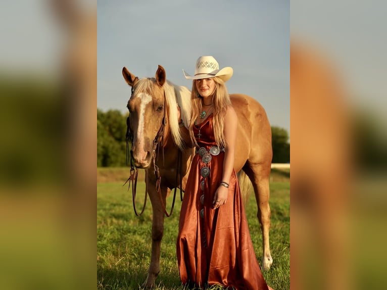 American Quarter Horse Mix Gelding 14 years Palomino in Valley Springs, SD