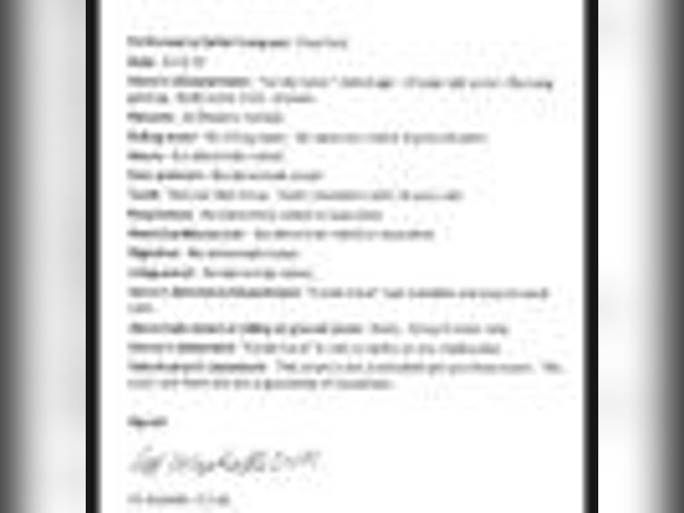 American Quarter Horse Gelding 15 years 15 hh Sorrel in Fort Collins CO